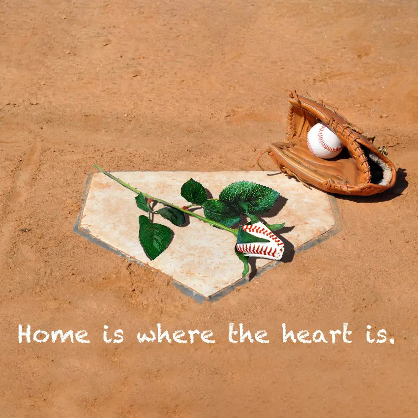 Baseball Rose Sports Roses