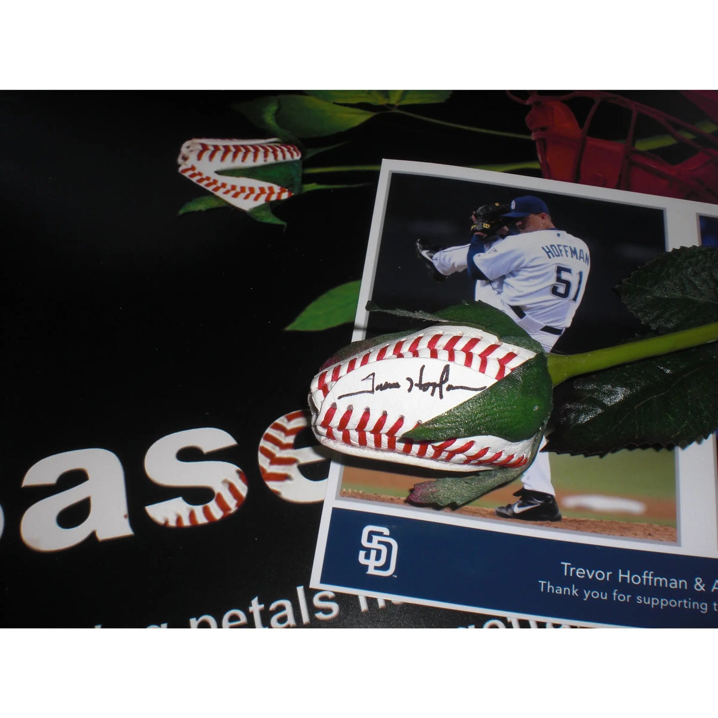 Baseball Rose in Cellophane Gift Arrangement Sports Roses
