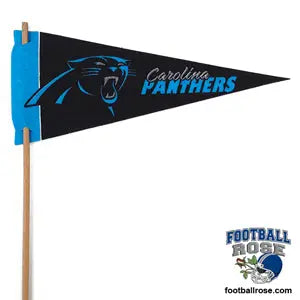 Carolina Panthers Mini Felt Pennant