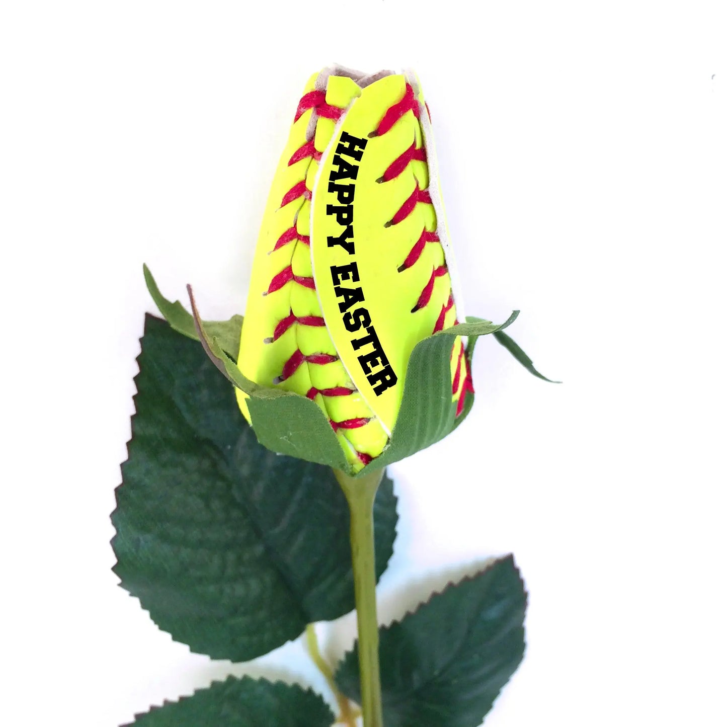 Easter Softball Rose Sports Roses  