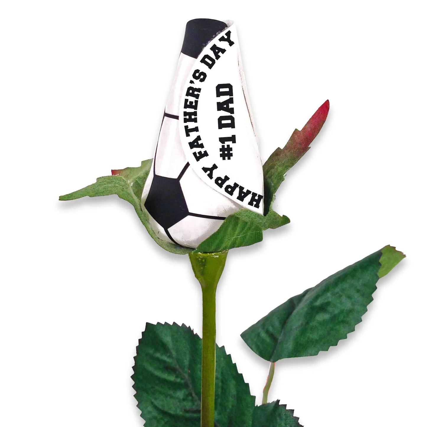 Fathers Day Soccer Rose Sports Roses  