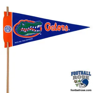 Florida Gators Mini Felt Pennant