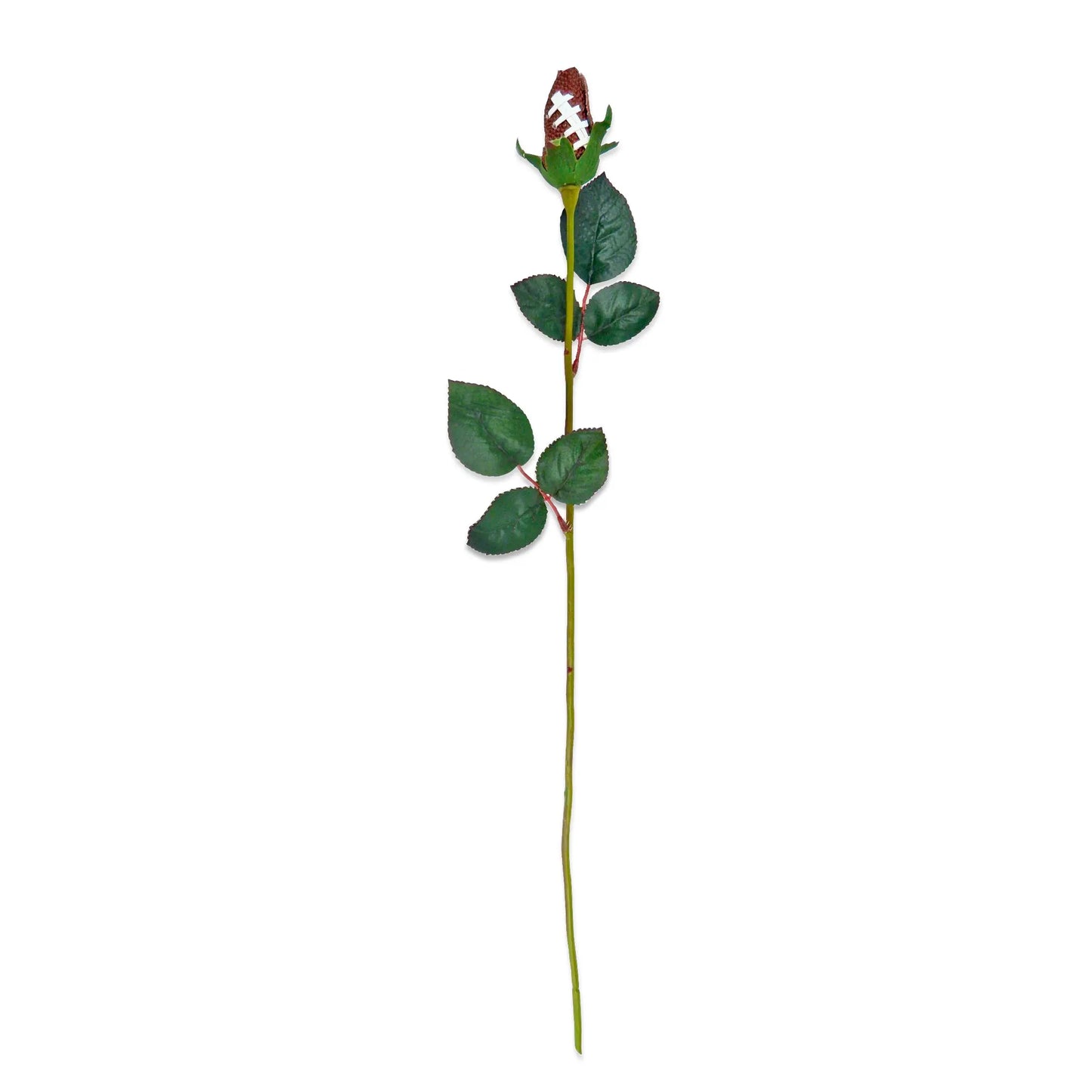 Football Rose with Graduation Class Year Sports Roses