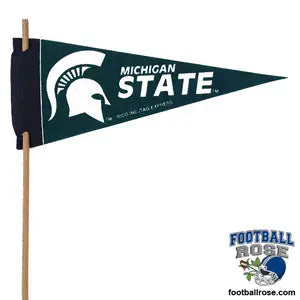 Michigan St. Spartans Mini Felt Pennant