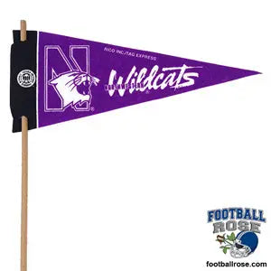 Northwestern Wildcats Mini Felt Pennant