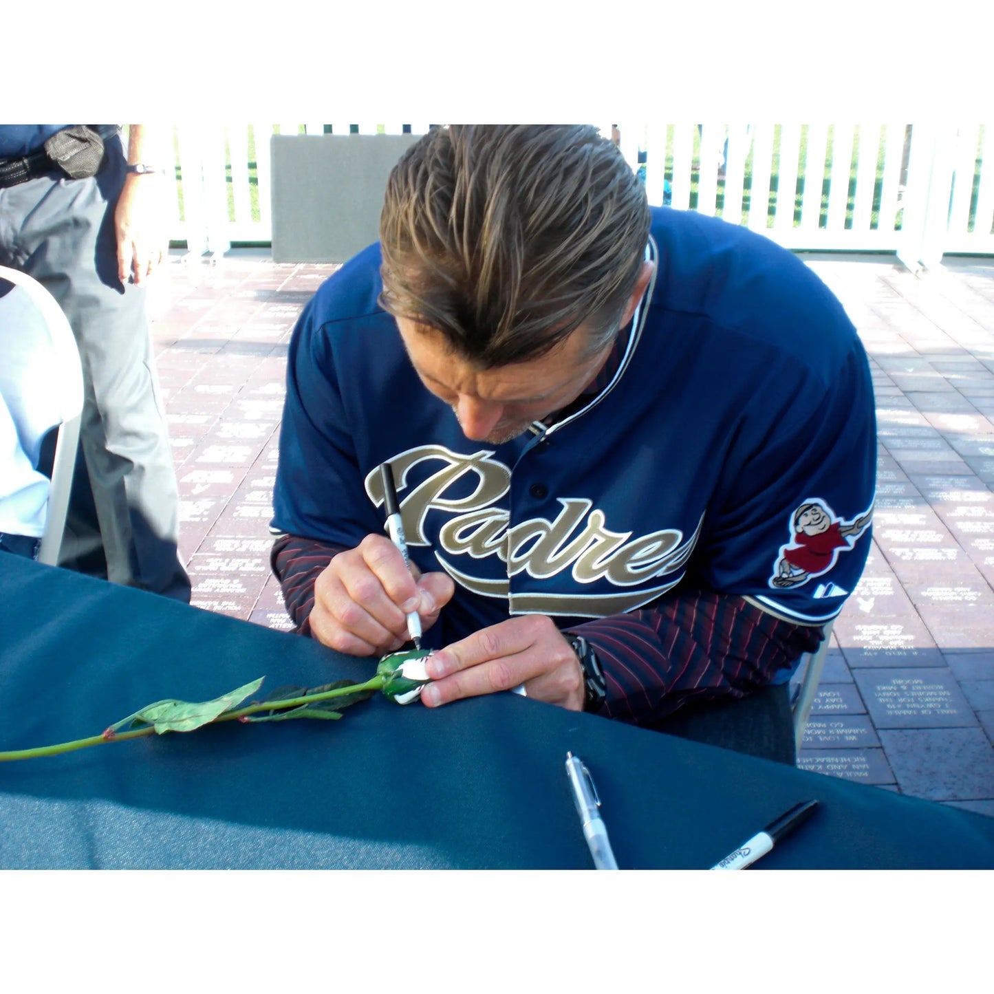 Personalized Baseball Rose Sports Roses  