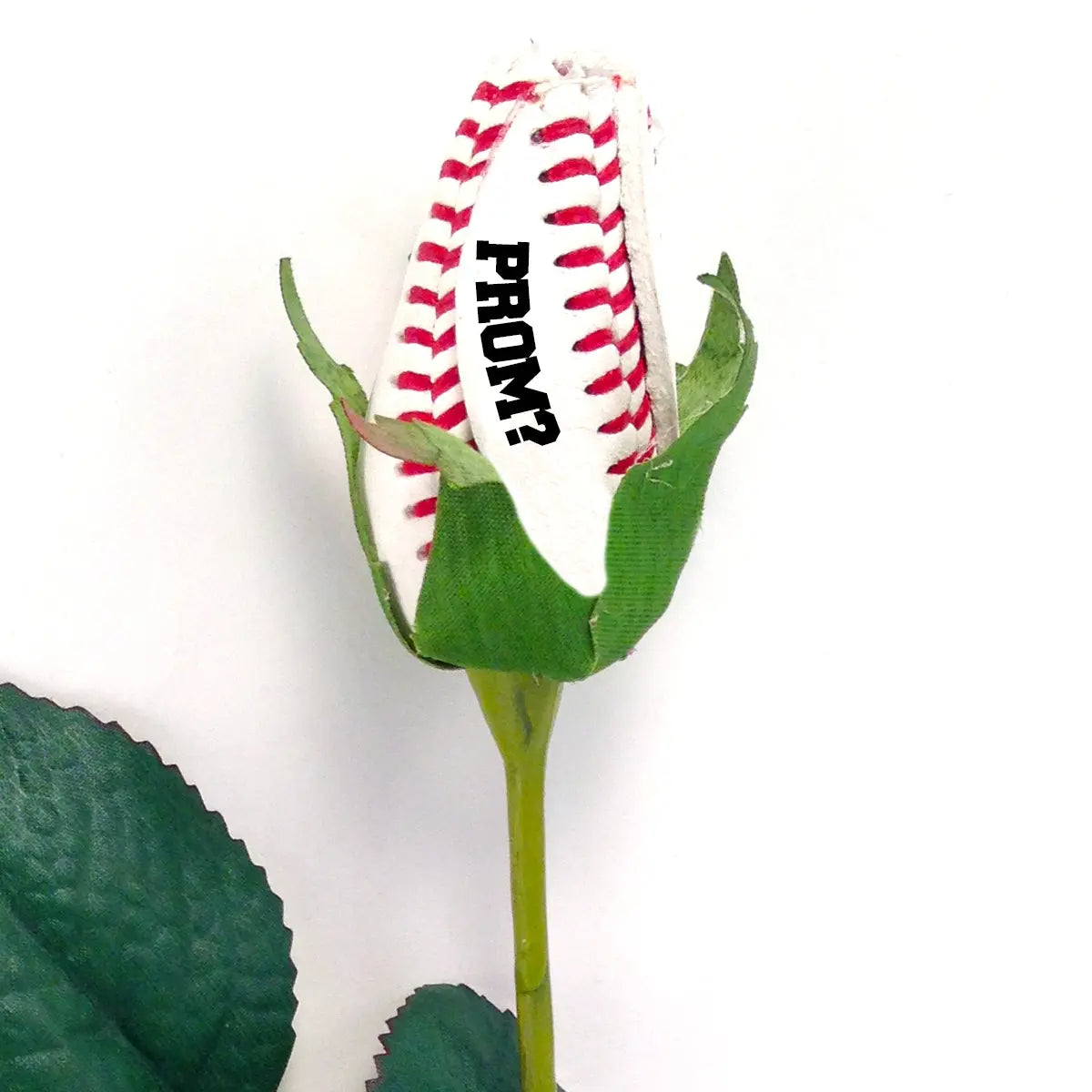 Prom Baseball Rose Sports Roses