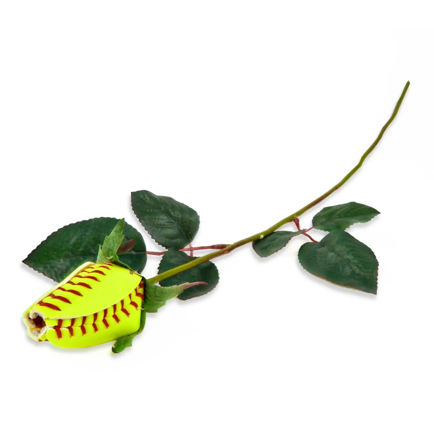 Softball Rose Sports Roses