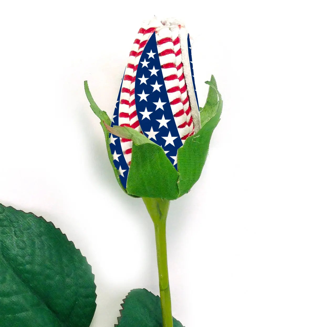 Star-Spangled Baseball Rose Sports Roses