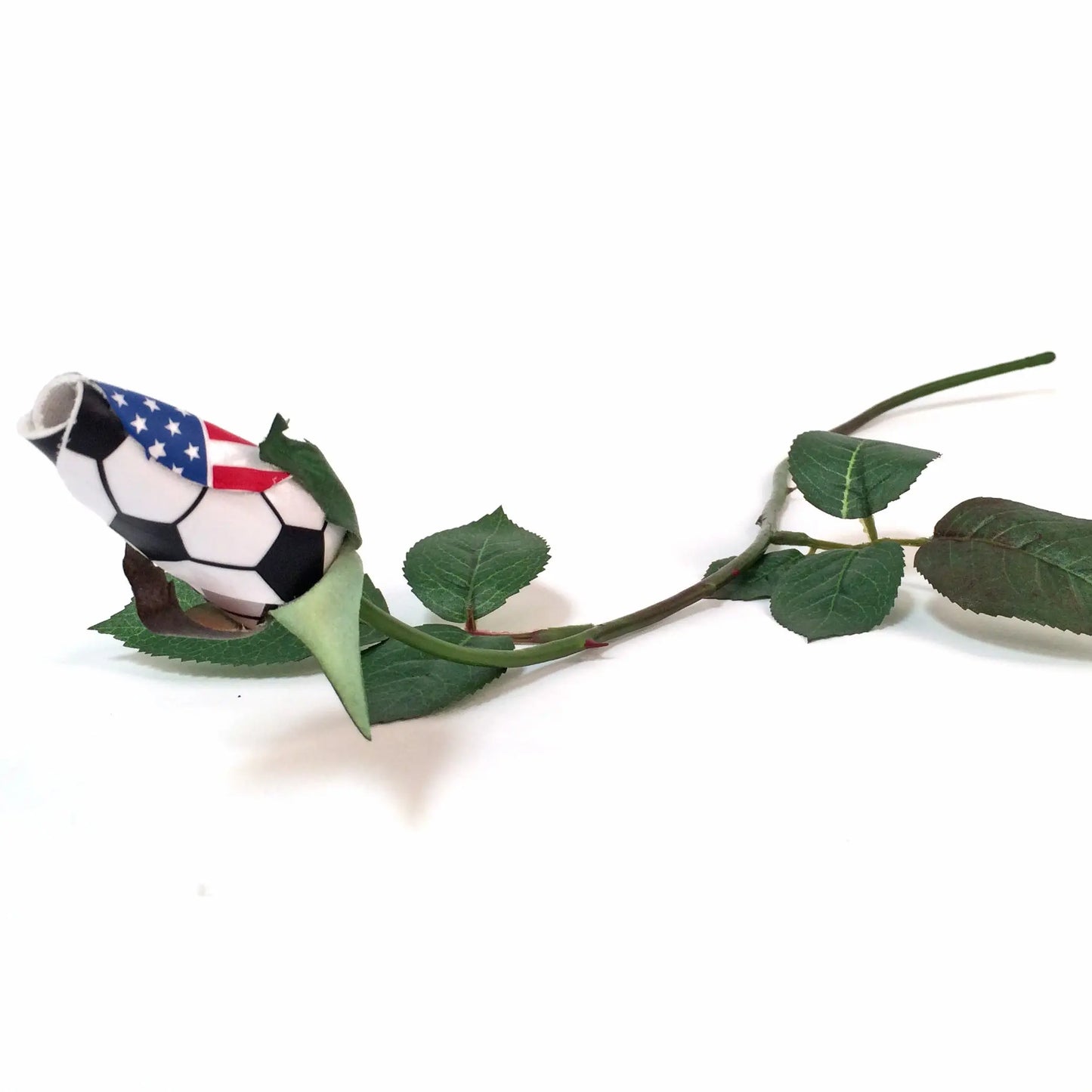 USA Soccer Rose Sports Roses  