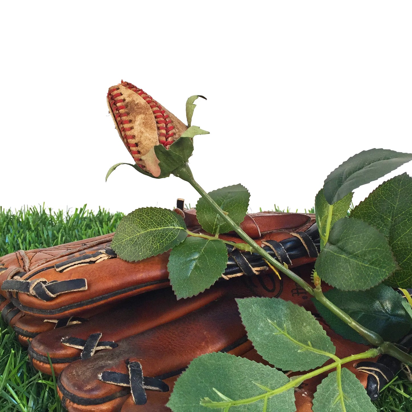 Vintage Baseball Rose Sports Roses