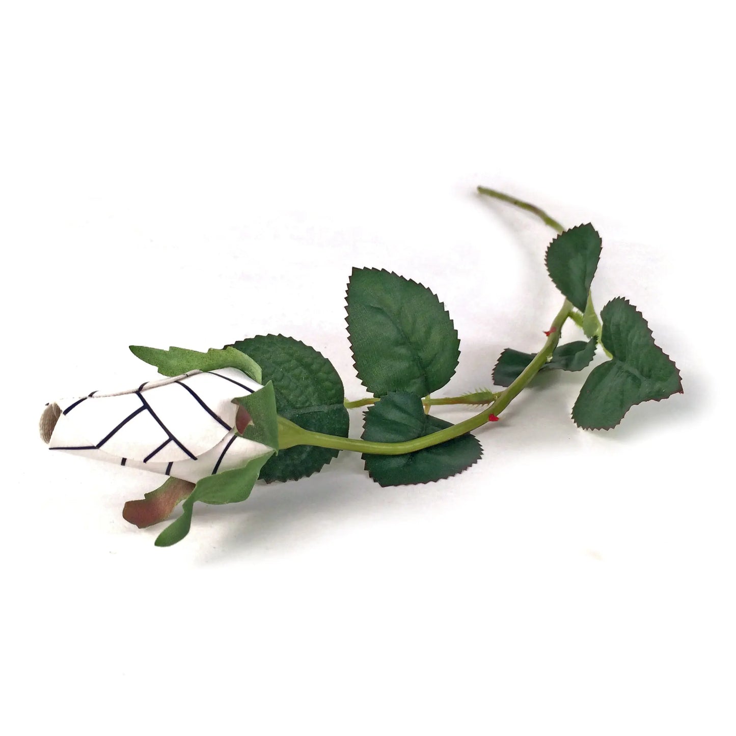 Volleyball Rose Bouquet (12 Roses) Sports Roses