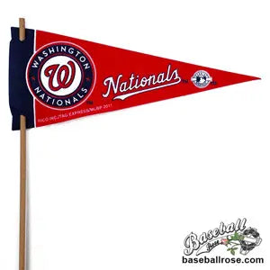 Washington Nationals Mini Felt Pennant