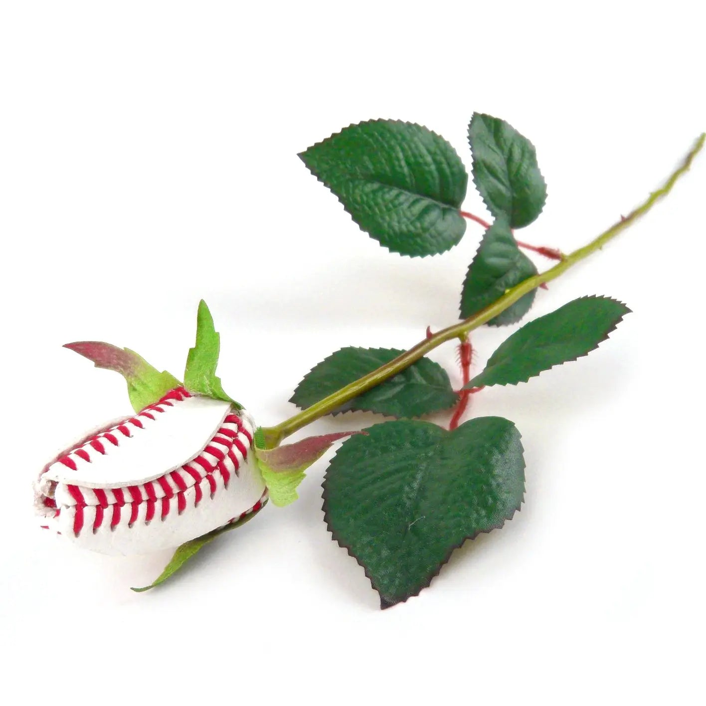 Baseball Rose in Cellophane Gift Arrangement Sports Roses  