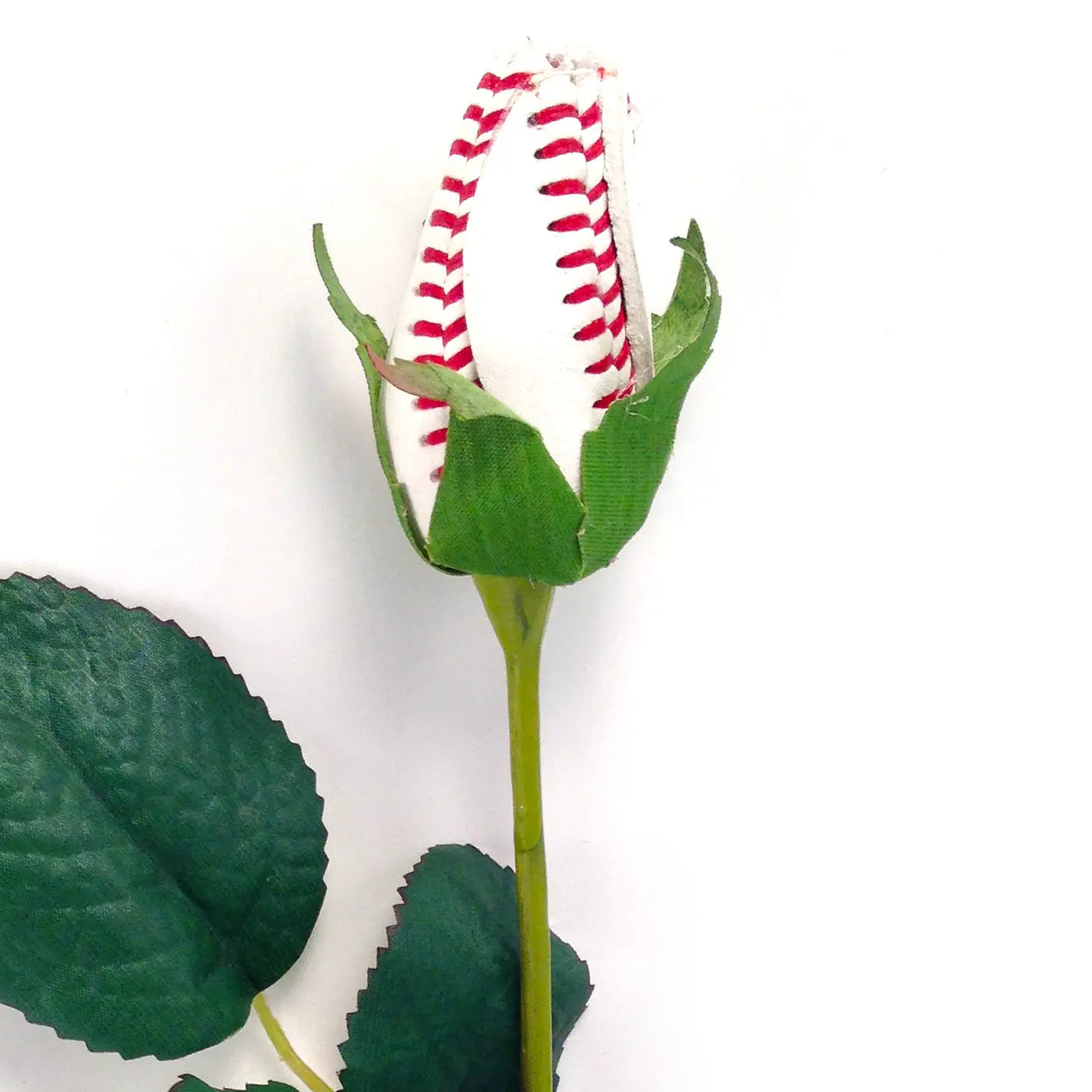 Baseball Rose in Clear Case Gift Arrangement Sports Roses  