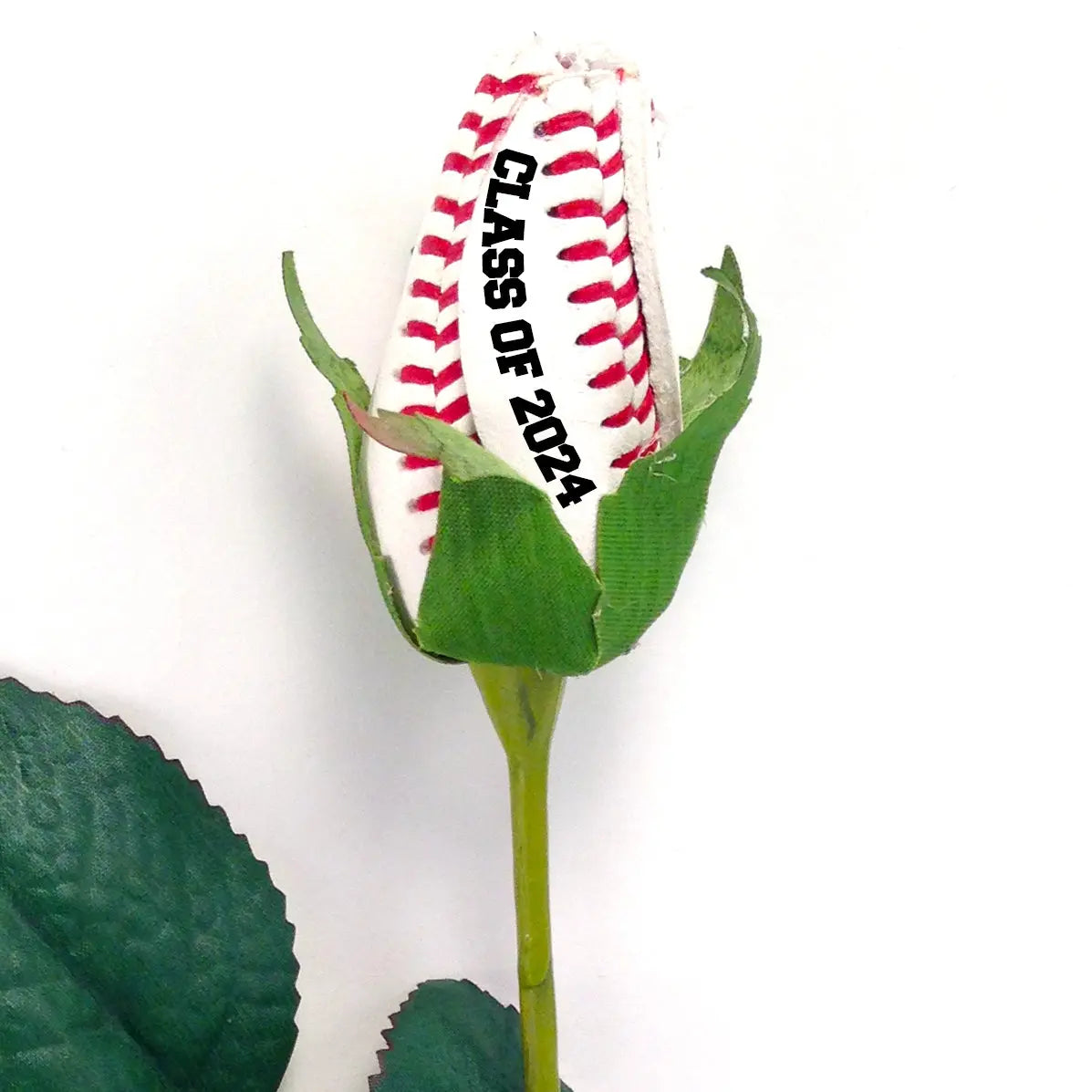 Baseball Rose with Graduation Class Year Sports Roses  
