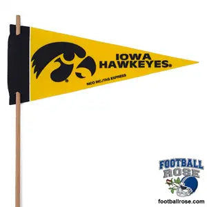 Iowa Hawkeyes Mini Felt Pennant