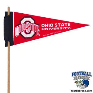 Ohio State Buckeyes Mini Felt Pennant