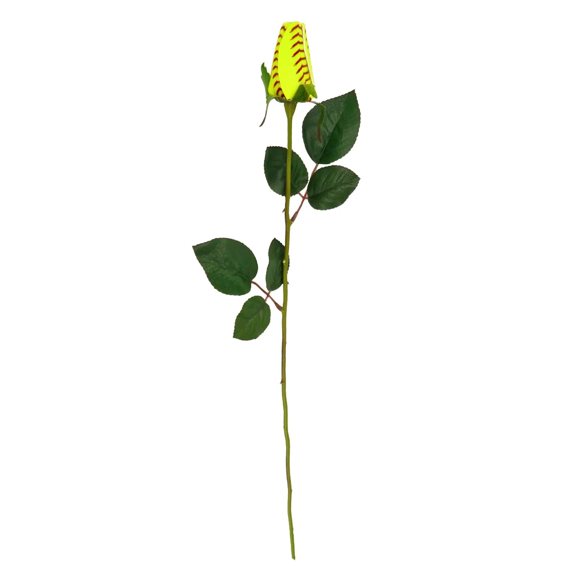 Personalized Softball Rose - Softball gifts for fans, athletes, coaches ...