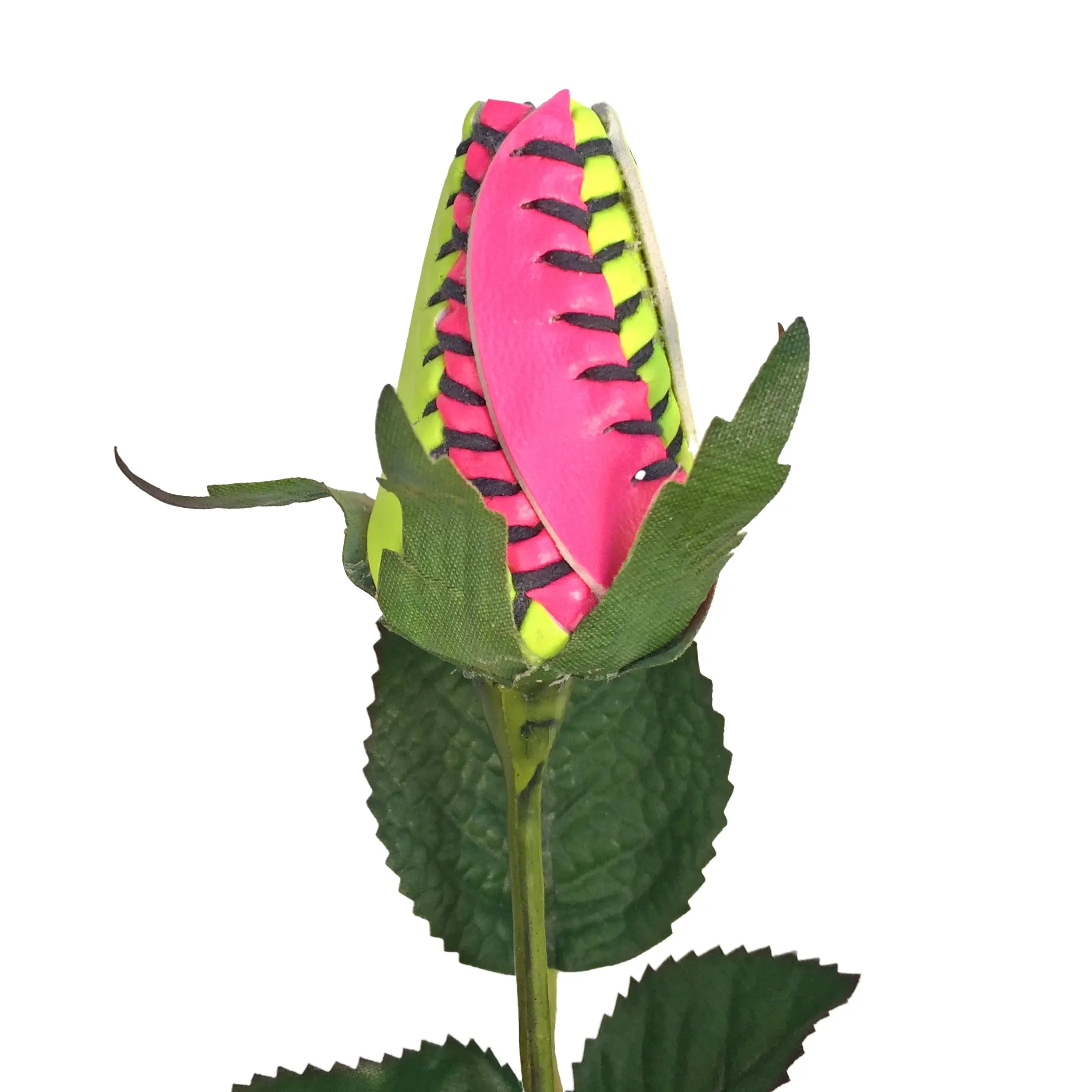 Pink Yellow Softball Rose - Special Edition – Sports Roses