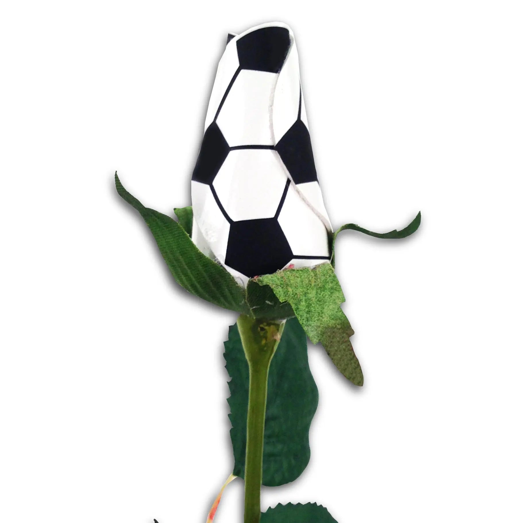 Soccer Rose Long Stem - Soccer Themed Gifts – Sports Roses