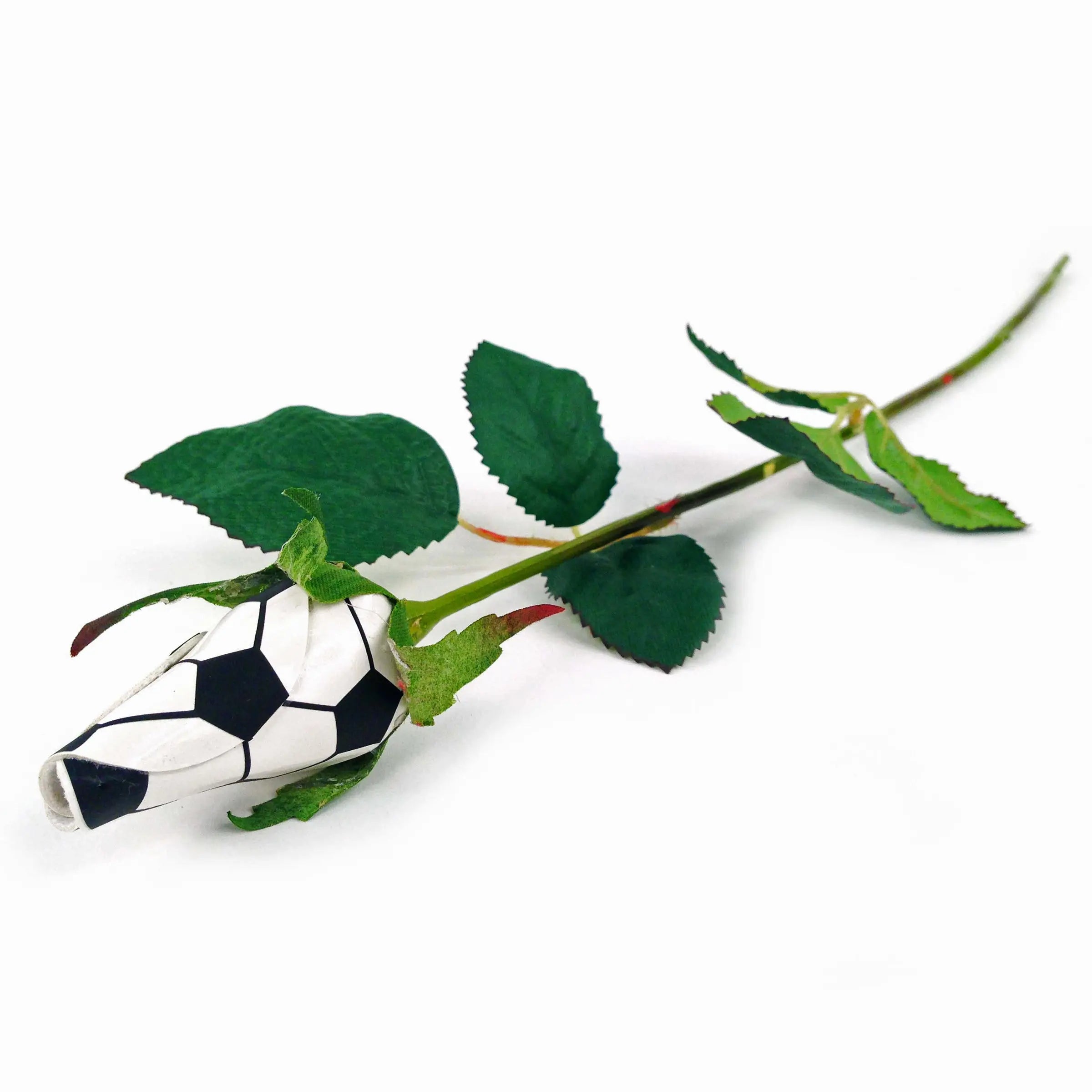 English Roses Football Soccer Rose Long Stem - Soccer Themed Gifts – Sports Roses