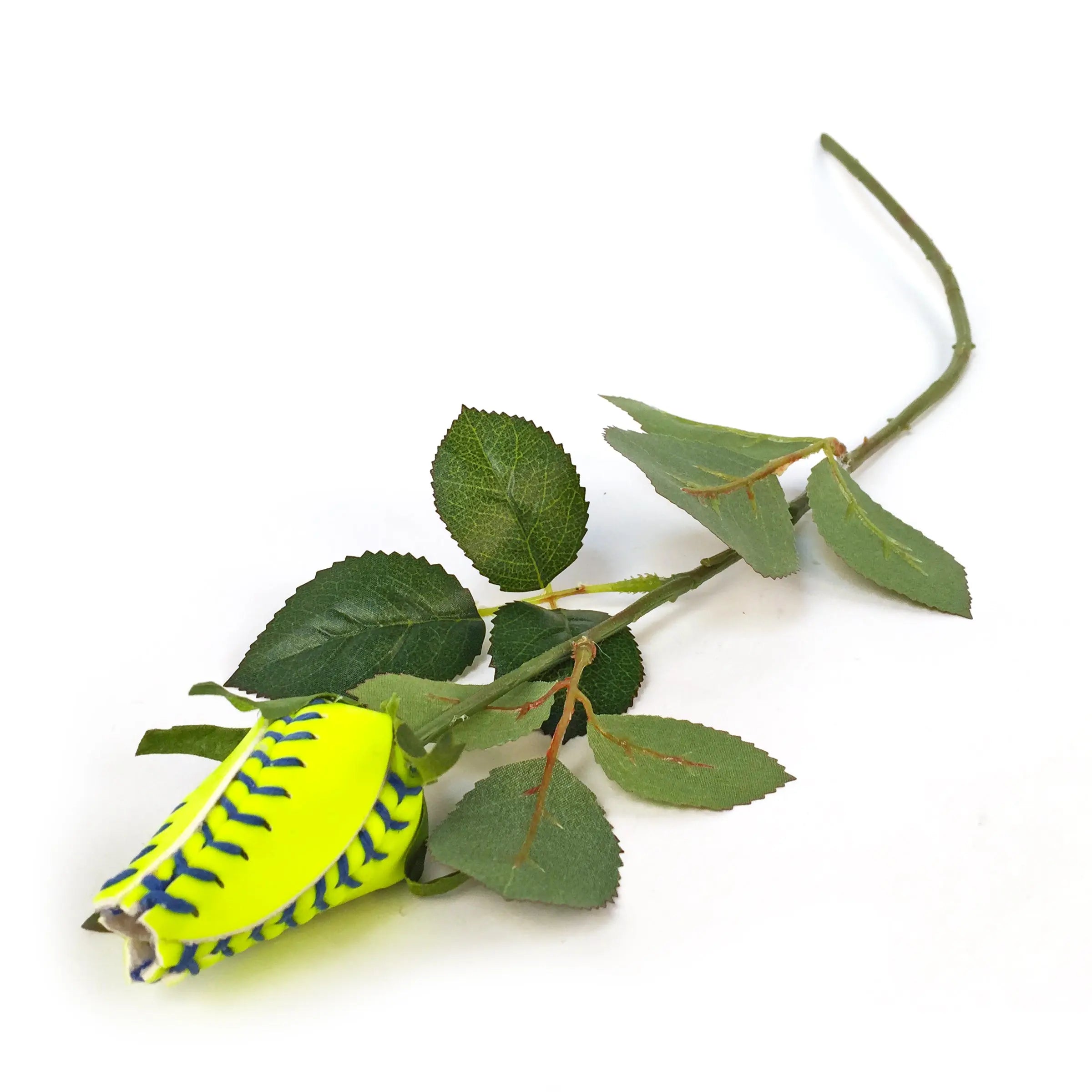 Premium Softball Rose (Blue Stitch) – Sports Roses