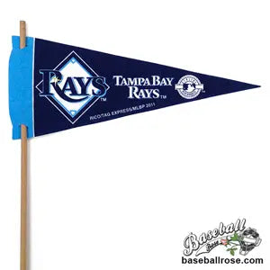 Tampa Bay Rays Mini Felt Pennant