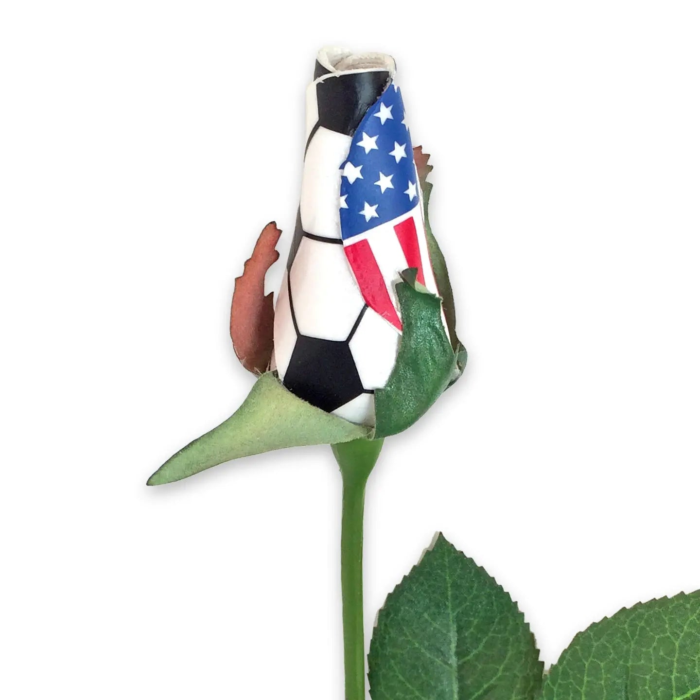 Soccer Rose Long Stem - Soccer Themed Gifts – Sports Roses