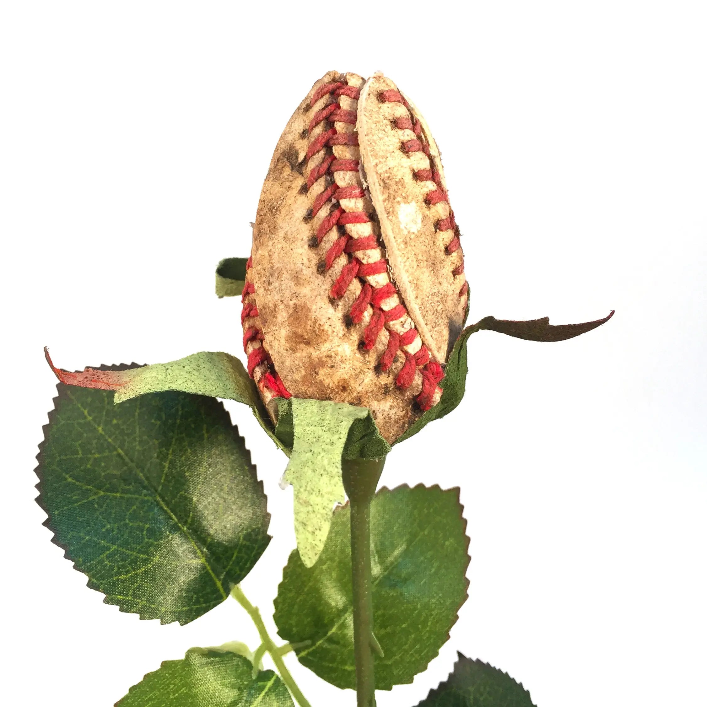 Vintage Baseball Rose - Baseball Themed Gifts – Sports Roses