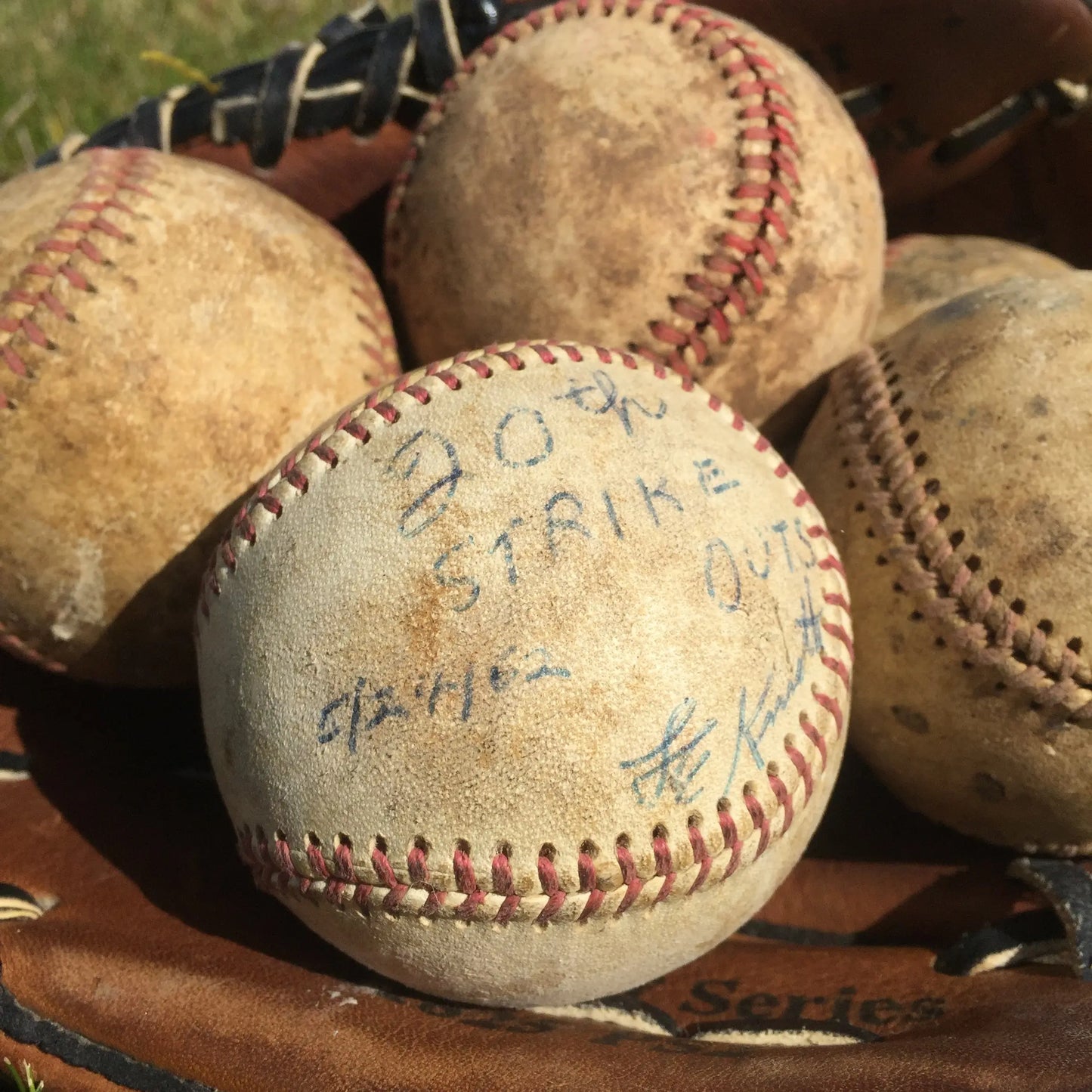 Vintage Baseball Rose Sports Roses