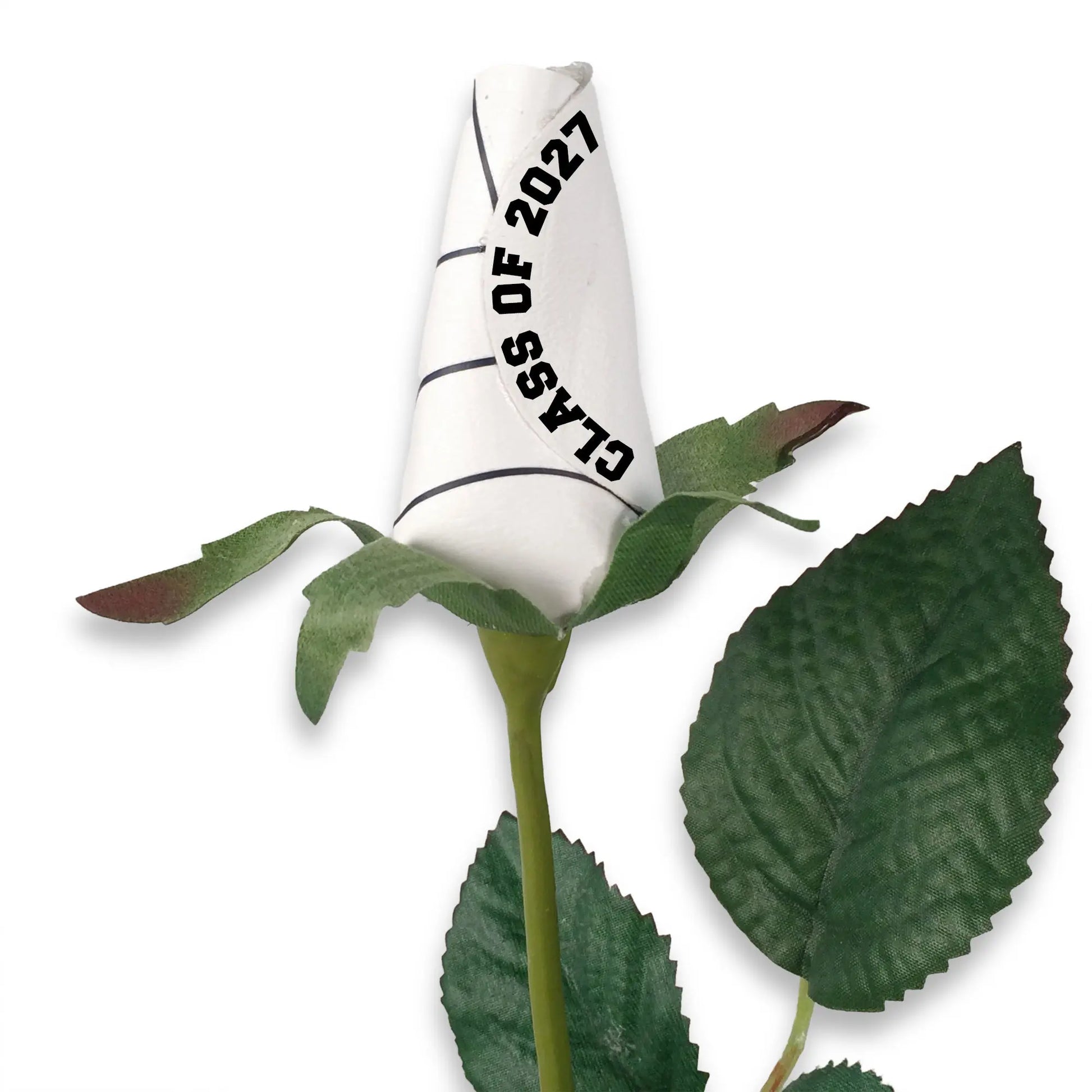 Volleyball Rose with Graduation Class Year Sports Roses
